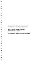 Báo cáo tài chính hợp nhất năm 2010 (đã kiểm toán) - Tổng công ty Cổ phần Vận tải Dầu khí