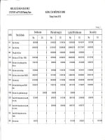 Báo cáo tài chính quý 3 năm 2010 - Công ty Cổ phần Đầu tư và Phát triển giáo dục Phương Nam