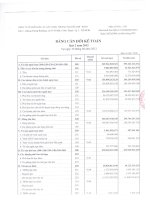 Báo cáo tài chính quý 2 năm 2012 - Công ty cổ phần Đầu tư Xây dựng Thương mại Dầu khí-IDICO