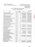 Báo cáo tài chính hợp nhất quý 4 năm 2015 - Công ty Cổ phần Sông Đà 10