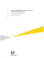 Báo cáo tài chính công ty mẹ quý 2 năm 2015 (đã soát xét) - Công ty Cổ phần Đầu tư Phát triển Đô thị và Khu Công nghiệp Sông Đà