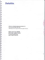 Báo cáo tài chính năm 2012 (đã kiểm toán) - Công ty Cổ phần Kinh doanh Dịch vụ cao cấp Dầu khí Việt Nam