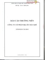 Báo cáo thường niên năm 2015 - Công ty cổ phần Địa ốc Dầu khí