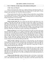 HỆ THỐNG THÔNG TIN ĐẤT ĐAI