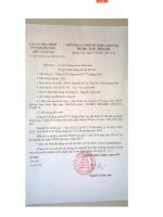 Báo cáo tài chính công ty mẹ quý 1 năm 2016 - Công ty Cổ phần Công trình Giao thông Vận tải Quảng Nam