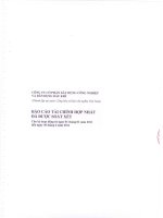 Báo cáo tài chính hợp nhất quý 2 năm 2011 (đã soát xét) - Công ty Cổ phần Xây dựng công nghiệp và dân dụng Dầu khí