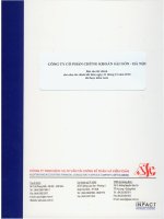 Báo cáo tài chính năm 2010 (đã kiểm toán) - Công ty Cổ phần Chứng Khoán Sài Gòn Hà Nội