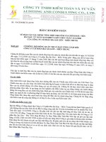 Báo cáo tài chính năm 2008 (đã kiểm toán) - Công ty Cổ phần Bia Sài Gòn - Miền Trung