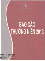 Báo cáo thường niên năm 2013 - Công ty Cổ phần Khách sạn Sài Gòn