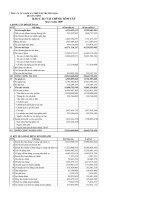 Báo cáo tài chính quý 2 năm 2009 - Công ty Cổ phần Sách và Thiết bị trường học Quảng Ninh