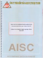 Báo cáo tài chính năm 2015 (đã kiểm toán) - Công ty Cổ phần Thiết bị Phụ tùng Sài Gòn