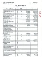 Báo cáo tài chính quý 1 năm 2015 - Công ty Cổ phần Chứng khoán Ngân hàng Sài Gòn Thương Tín