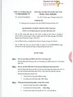 Nghị quyết Đại hội cổ đông thường niên - Công ty Cổ phần Địa ốc Sài Gòn Thương Tín