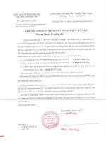 Báo cáo tài chính công ty mẹ quý 3 năm 2015 - Công ty Cổ phần Địa ốc Sài Gòn Thương Tín