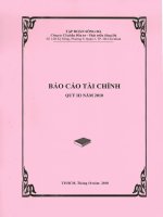 Báo cáo tài chính quý 3 năm 2010 - Công ty cổ phần Đầu tư - Phát triển Sông Đà
