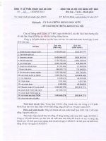 Báo cáo tài chính quý 1 năm 2015 - Công ty Cổ phần Khách sạn Sài Gòn