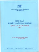 Báo cáo tài chính quý 3 năm 2012 - Công ty Cổ phần Hợp tác kinh tế và Xuất nhập khẩu SAVIMEX