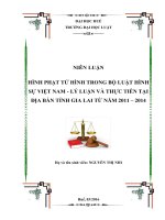 Hình phạt tử hình trong BLHSVN lý luận và thực tiễn trên địa bàn tỉnh gia lai 