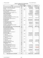 Báo cáo tài chính hợp nhất quý 1 năm 2010 - Công ty Cổ phần Sông Đà 8