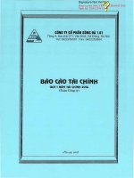 Báo cáo tài chính quý 1 năm 2016 - Công ty Cổ phần Sông Đà 1.01