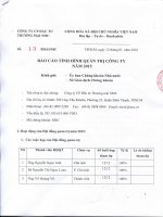 Báo cáo tình hình quản trị công ty - Công ty Cổ phần Ðầu tư Thương mại SMC