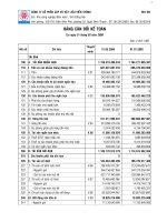 Báo cáo tài chính quý 1 năm 2009 - Công ty Cổ phần Đầu tư và Phát triển Sacom