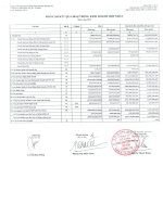 Báo cáo tài chính hợp nhất quý 1 năm 2012 - Công ty Cổ phần Chứng khoán Ngân hàng Sài Gòn Thương Tín