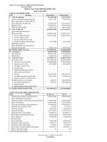 Báo cáo tài chính quý 1 năm 2009 - Công ty Cổ phần Sách và Thiết bị trường học Quảng Ninh