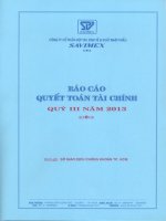 Báo cáo tài chính quý 3 năm 2013 - Công ty Cổ phần Hợp tác kinh tế và Xuất nhập khẩu SAVIMEX