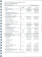 Báo cáo tài chính công ty mẹ quý 2 năm 2013 - Công ty Cổ phần Công nghệ Viễn thông Sài Gòn
