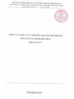 Báo cáo tài chính hợp nhất quý 4 năm 2015 - Công ty cổ phần Đầu tư và Thương mại Dầu khí Sông Đà