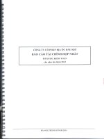 Báo cáo tài chính hợp nhất năm 2013 (đã kiểm toán) - Công ty cổ phần Địa ốc Dầu khí