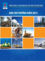 Báo cáo thường niên năm 2013 - Tổng Công ty cổ phần Xây lắp Dầu khí Việt Nam