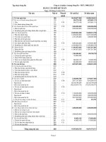 Báo cáo tài chính quý 2 năm 2011 - Công ty Cổ phần Xi măng Sông Đà