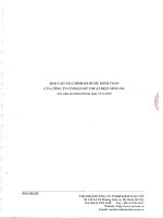 Báo cáo tài chính năm 2010 (đã kiểm toán) - Công ty cổ phần Kỹ thuật Điện Sông Đà