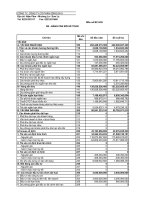 Báo cáo tài chính hợp nhất quý 4 năm 2010 - Công ty Cổ phần Sông Đà 8