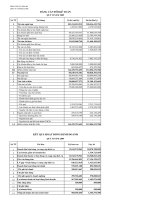 Báo cáo tài chính quý 2 năm 2009 - Công ty Cổ phần Sông Đà 9.06