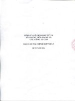 Báo cáo tài chính hợp nhất quý 1 năm 2016 - Công ty Cổ phần Đầu tư và Xây dựng Tiền Giang