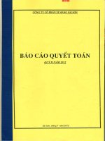 Báo cáo tài chính quý 2 năm 2012 - Công ty Cổ phần Xi măng Sài Sơn