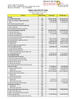 Báo cáo tài chính hợp nhất quý 4 năm 2012 - Công ty Cổ phần Tư vấn Sông Đà