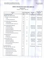 Báo cáo tài chính quý 1 năm 2013 - Công ty Cổ phần Nhiên liệu Sài Gòn