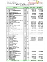 Báo cáo tài chính hợp nhất quý 1 năm 2014 - Công ty Cổ phần Sông Đà 1