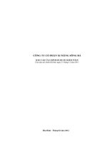 Báo cáo tài chính năm 2011 (đã kiểm toán) - Công ty Cổ phần Xi măng Sông Đà