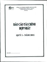 Báo cáo tài chính hợp nhất quý 1 năm 2011 - Công ty Cổ phần Nhiên liệu Sài Gòn