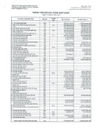 Báo cáo tài chính hợp nhất quý 4 năm 2013 - Công ty Cổ phần Chứng khoán Ngân hàng Sài Gòn Thương Tín