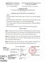 Nghị quyết Hội đồng Quản trị - Công ty Cổ phần SCI