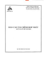 Báo cáo tài chính hợp nhất quý 1 năm 2016 - Công ty Cổ phần Sông Đà 11