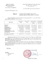 Báo cáo tài chính hợp nhất quý 1 năm 2014 - Công ty Cổ phần Đại lý Vận tải SAFI