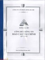 Báo cáo tài chính quý 1 năm 2015 - Công ty Cổ phần Sông Đà 505