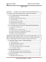 THỰC TRẠNG CÔNG TÁC KẾ TOÁN BÁN HÀNG VÀ CÁC KHOẢN PHẢI THU KHÁCH HÀNG TẠI CÔNG TY TNHH NGÂN HẠNH